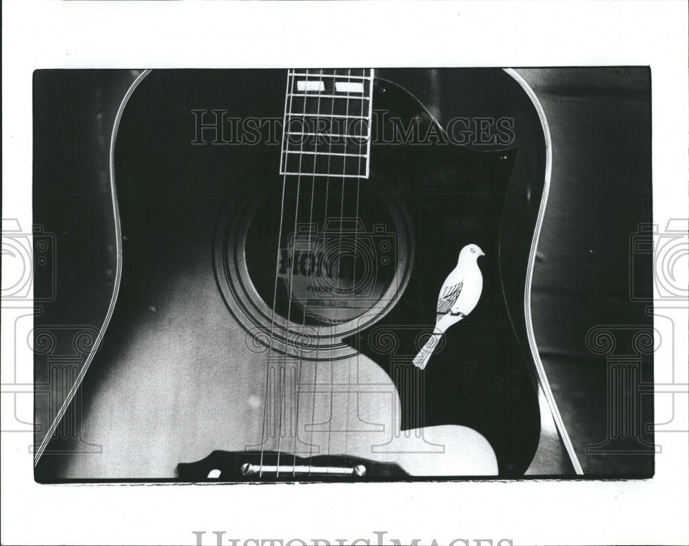 1982 Press Photo Guitar - Historic Images