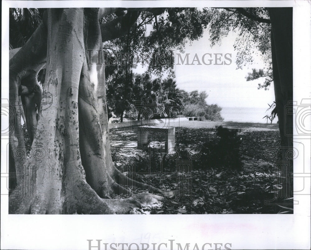 1980 Press Photo Pinellas County Church St. Matthew&#39;s Episcopal - RSH14769 - Historic Images