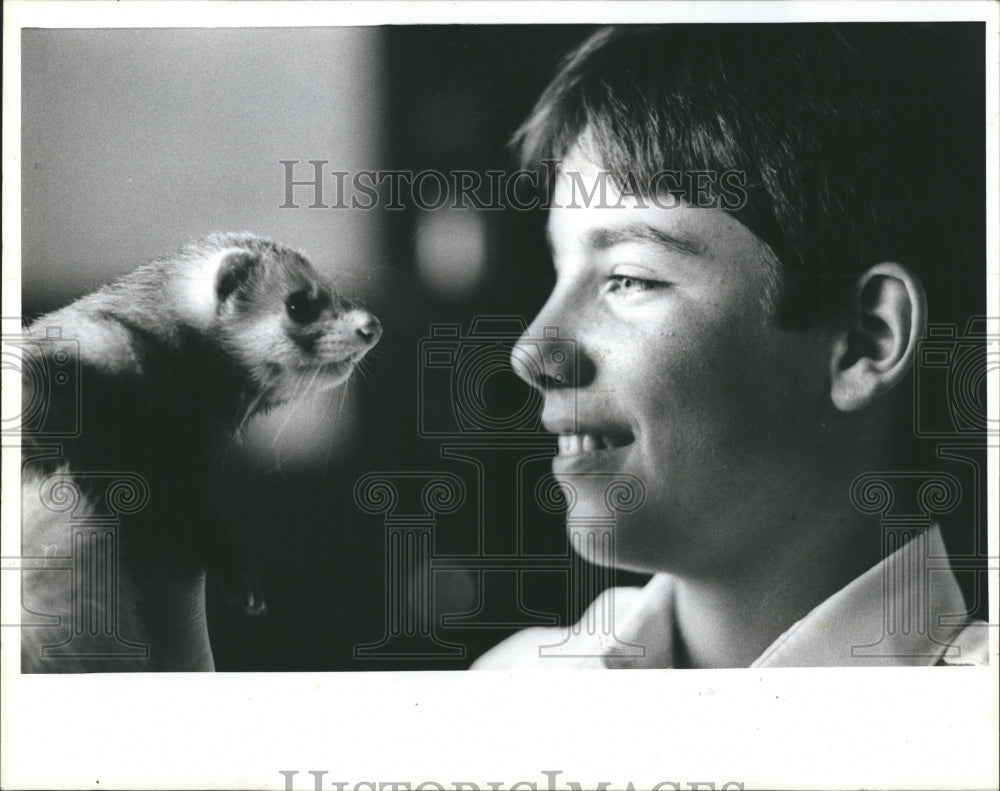 1986 Press Photo Sneakers the ferret escapes his cage,found three blocks away - Historic Images