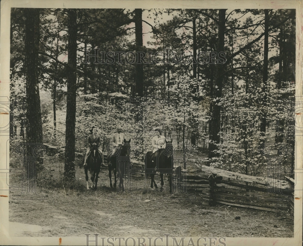 Press Photo Horse Back Riding at the Forest. - Historic Images