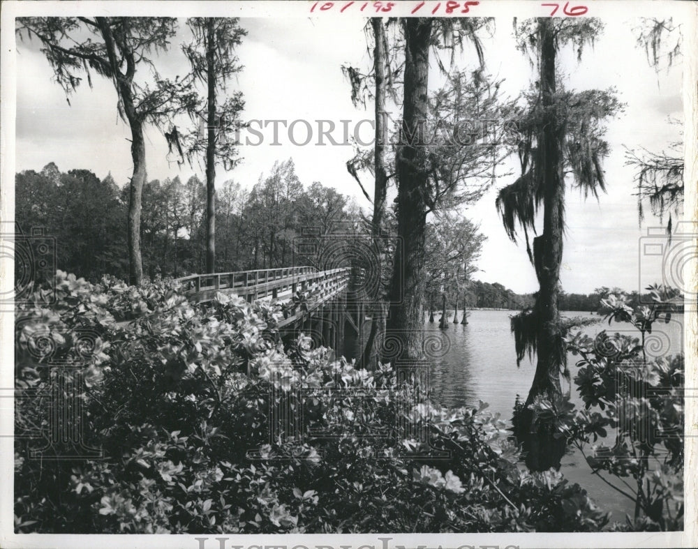 Press Photo Fores with Bridge. - RSH15111 - Historic Images