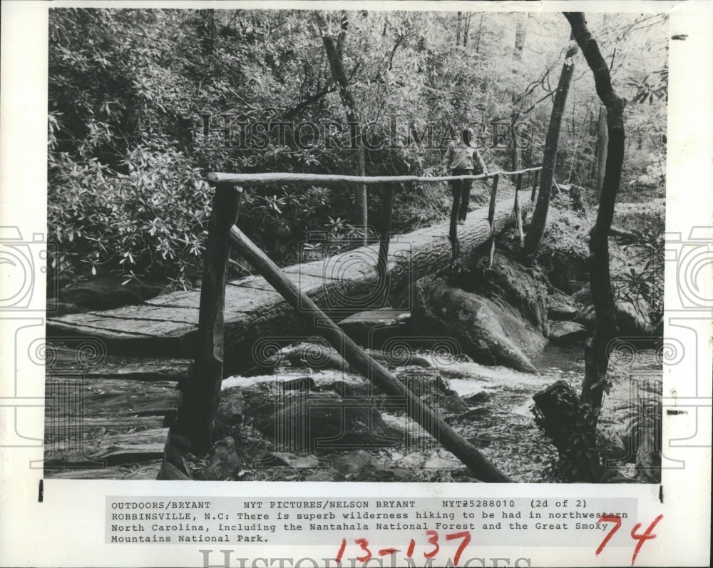 1980 Press Photo Hiker Crosses a stream in Wilderness area North Carolina. - Historic Images