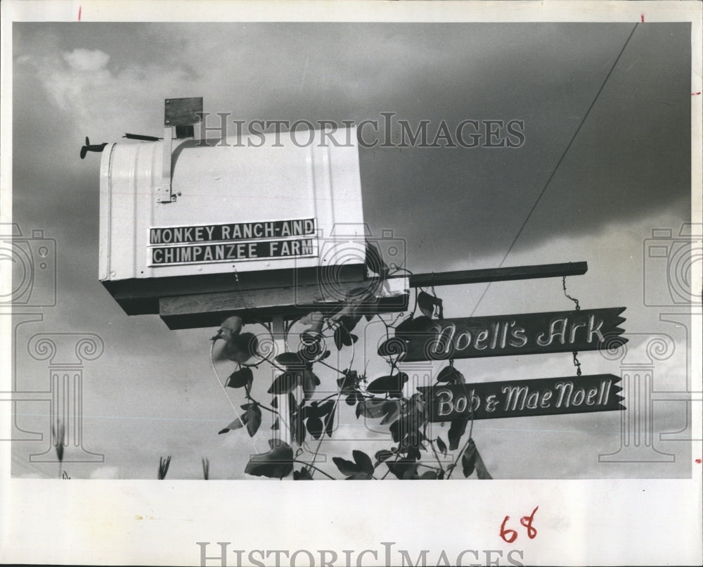 1964 Press Photo Noel Mail Box. Florida - Historic Images