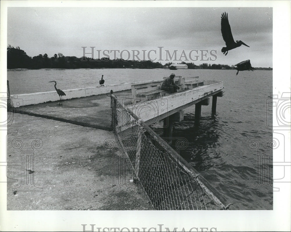1981 Gulfport Pier Man Fishing Pelicans-Historic Images
