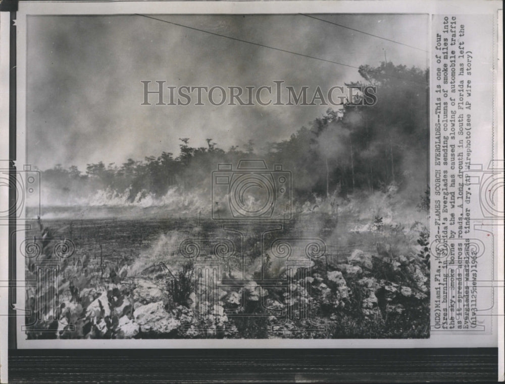 1962 Press Photo Fire Burning Through Everglades - Historic Images