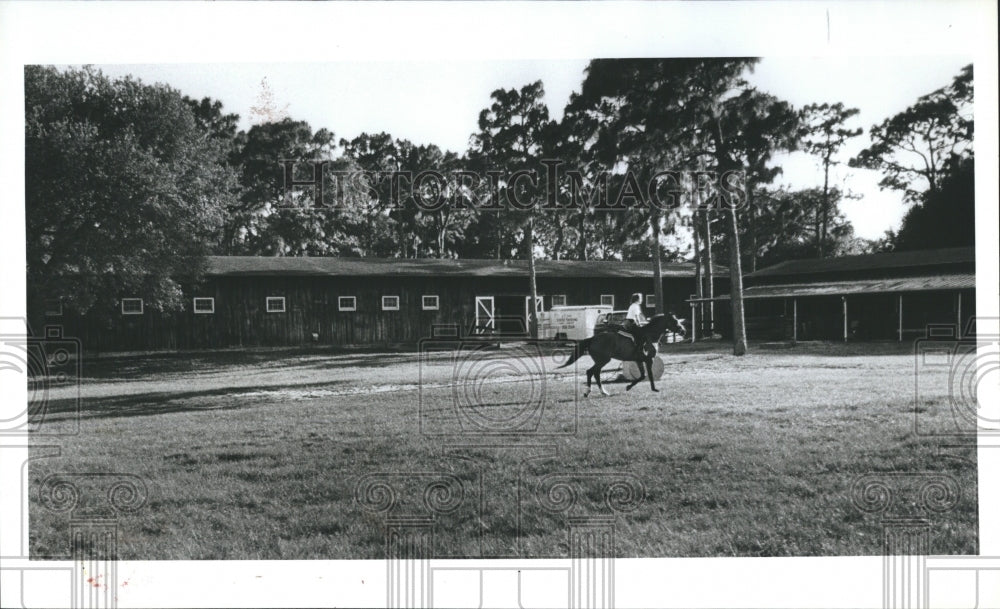 1982 Press Photo Paddy Downing Rides Horse And Owns Even Keel Horse Farm - Historic Images