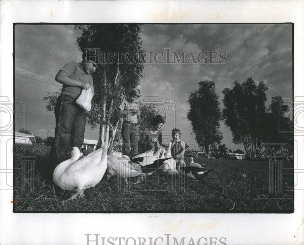 1973 Press Photo Mrs. Cindy Kinney and her children feed ducks. - Historic Images