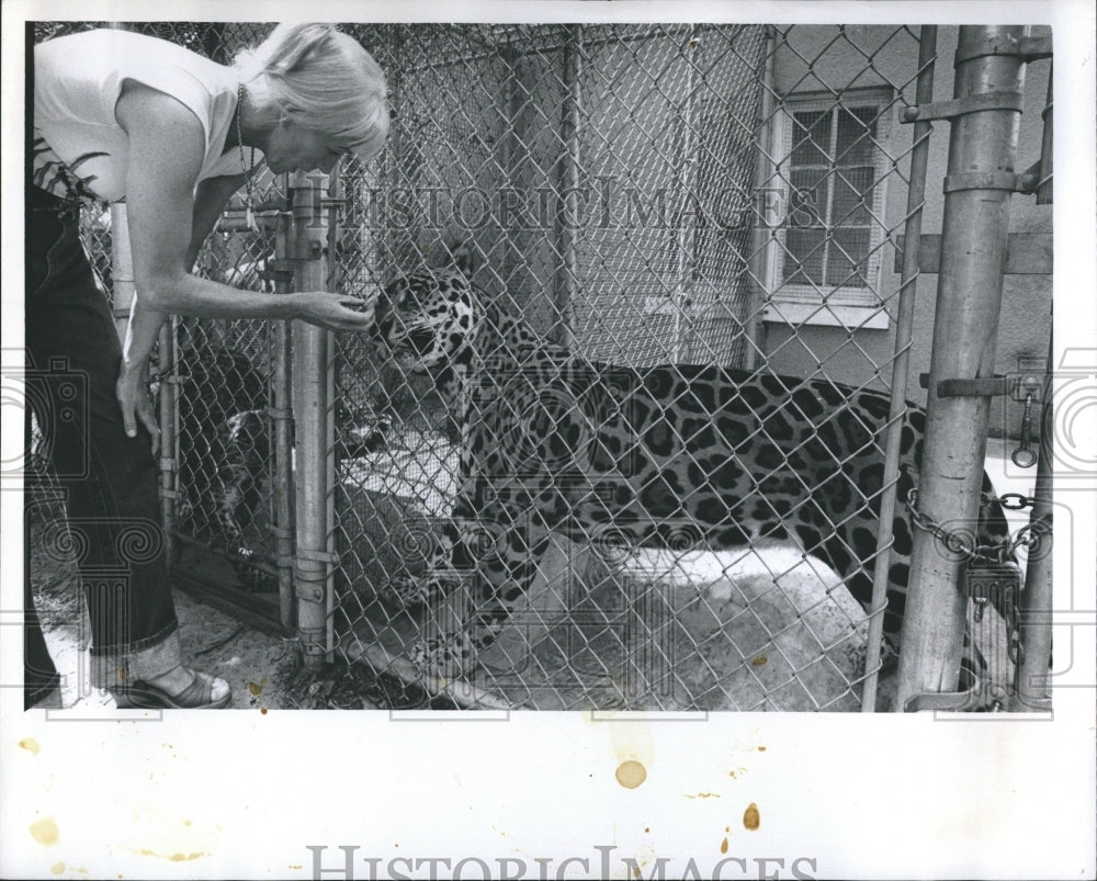 1981 Press Photo Ron &amp; Joy Holiday and cheetah. - Historic Images