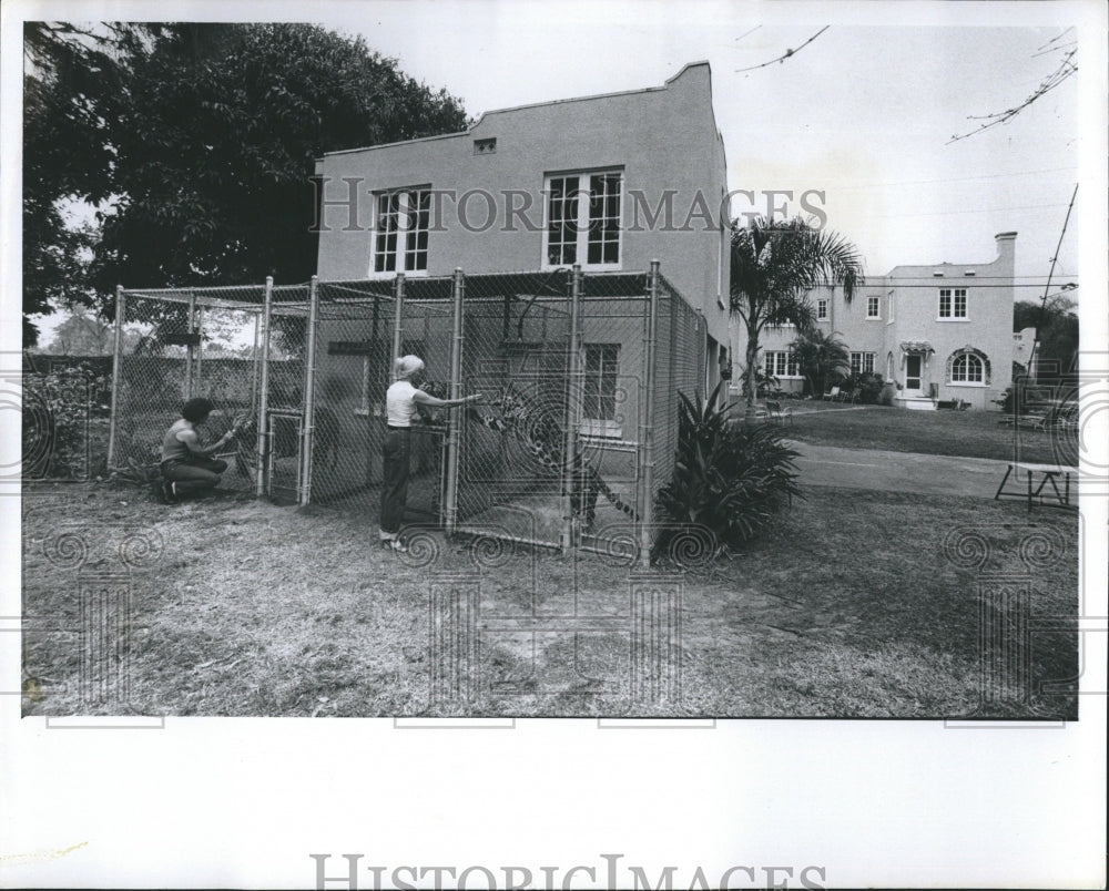 1981 Press Photo Ron &amp; Joy Holiday and their animals. - RSH16187 - Historic Images