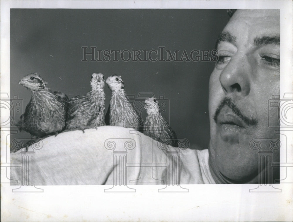 1959 Press Photo Buck Rogers Bonds And Sings With Rescued Baby Quails - Historic Images