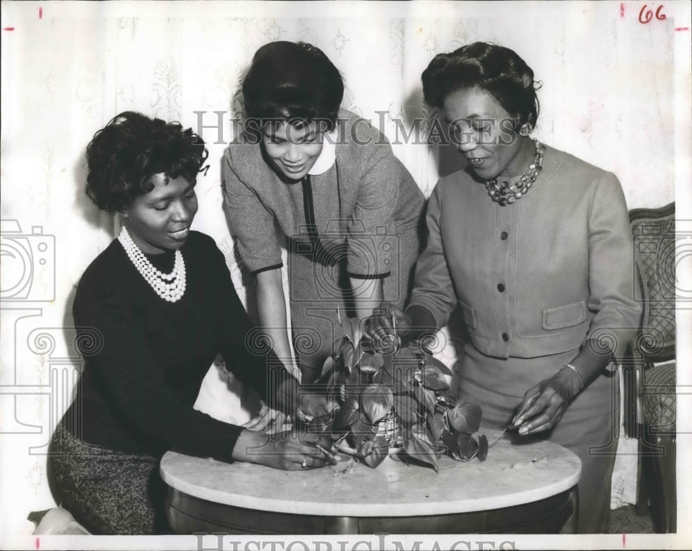 1962 Press Photo Mrs Ada McCray Mrs Emma Rembert Mrs Cinderella Coney - Historic Images