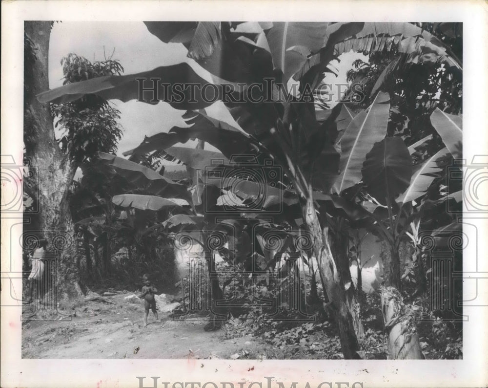 1956 Press Photo Haiti Child Wandering in the Street - Historic Images