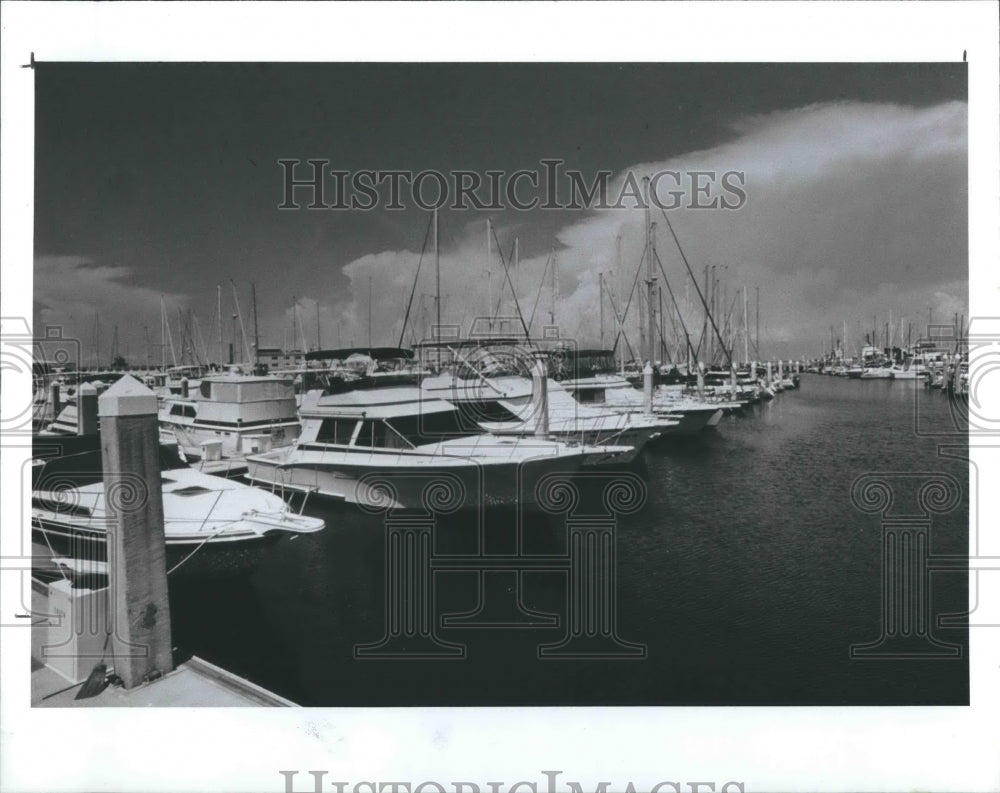 1991 Press Photo Harborage at Bayboro Marina - Historic Images