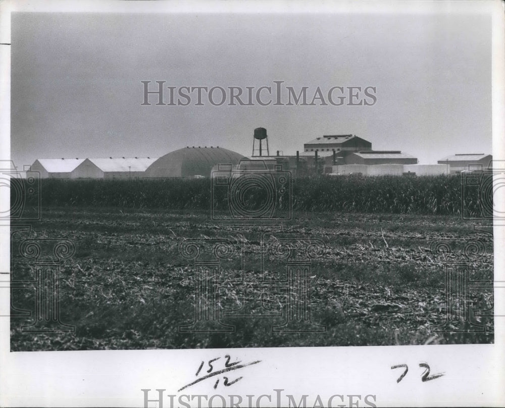 1970 Press Photo Sugar Cane And Refinery - Historic Images