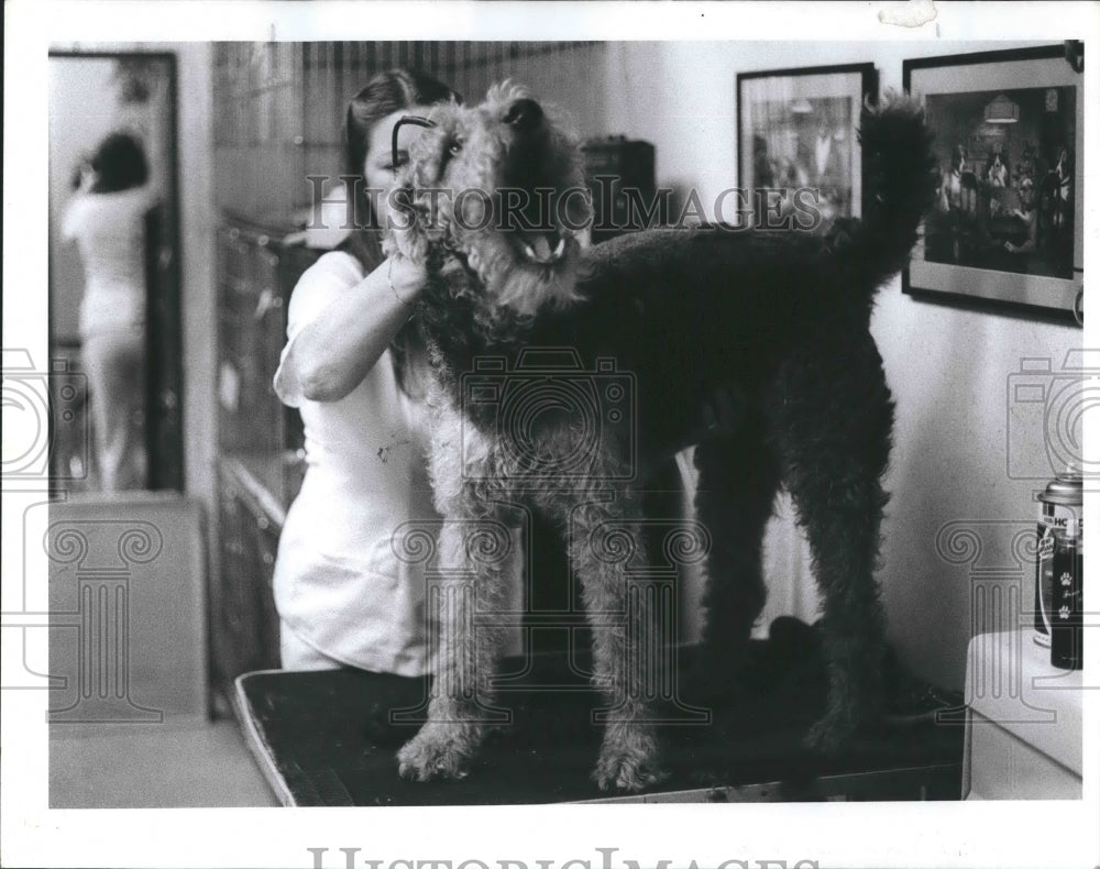 1987 Press Photo Gail Curry Guppies N' Puppies Pet Store - RSH19335 - Historic Images