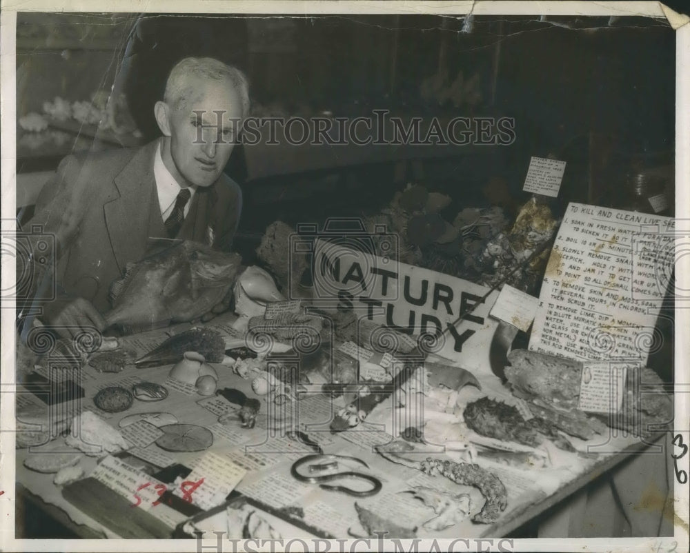 1952 Press Photo Ernest O.Lieghley with his collection of land and sea shells. - Historic Images