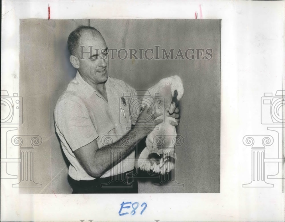 1964 Press Photo Venice Police Chief Julius Divine with Lost Duck - Historic Images