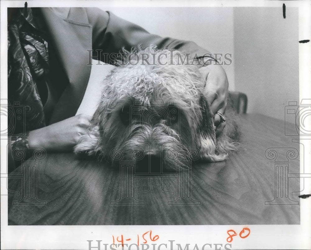 1978 Press Photo Alpo II, Alpo&#39;s Center for Advanced Pet Study - RSH19537 - Historic Images