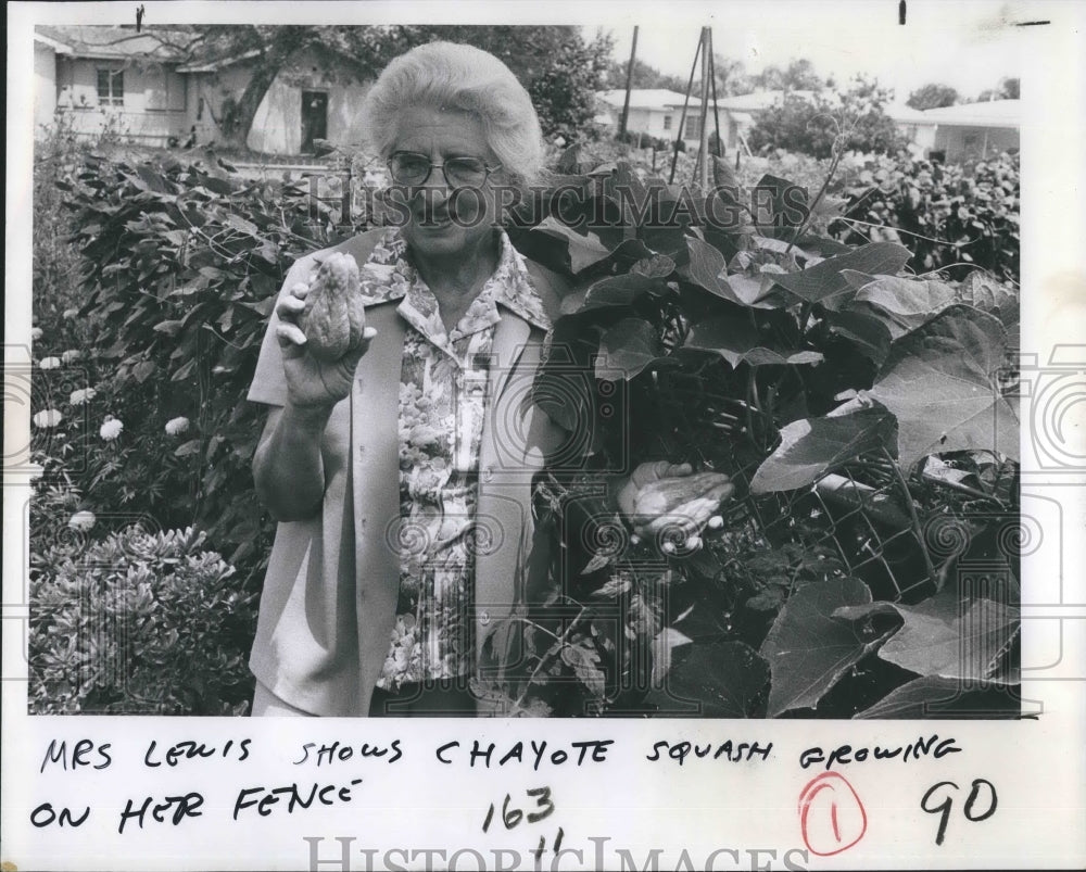 1978 Press Photo Marie Lewis Marie Lewis Shows Chayote Squash IN Hanging Garden - Historic Images