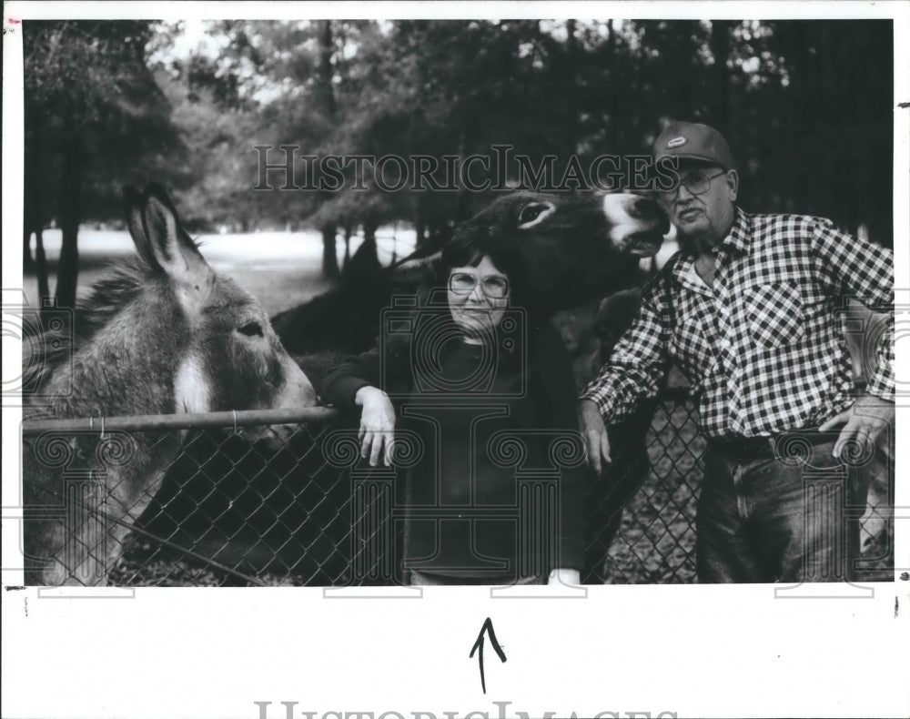 1989 Press Photo Guila and Leon Manchester with their burros - Historic Images