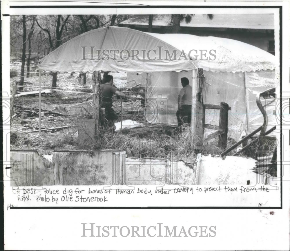 1981 Press Photo Property of William Mansfield - RSH20655 - Historic Images