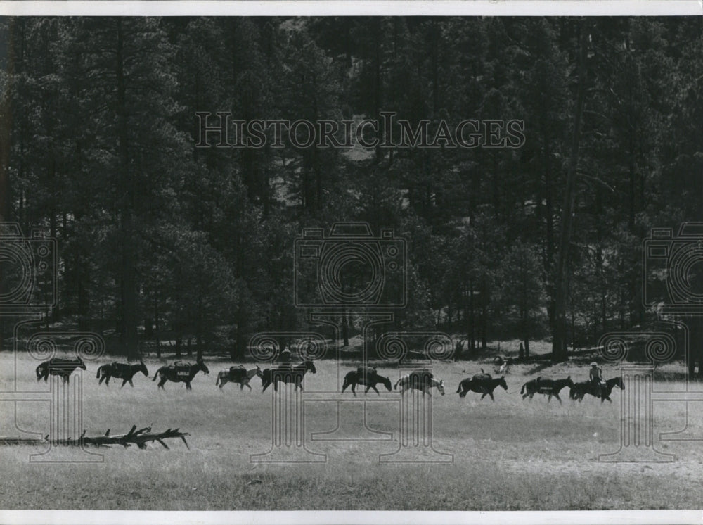 1974 Press Photo New Mexico Wilderness - RSH20907 - Historic Images