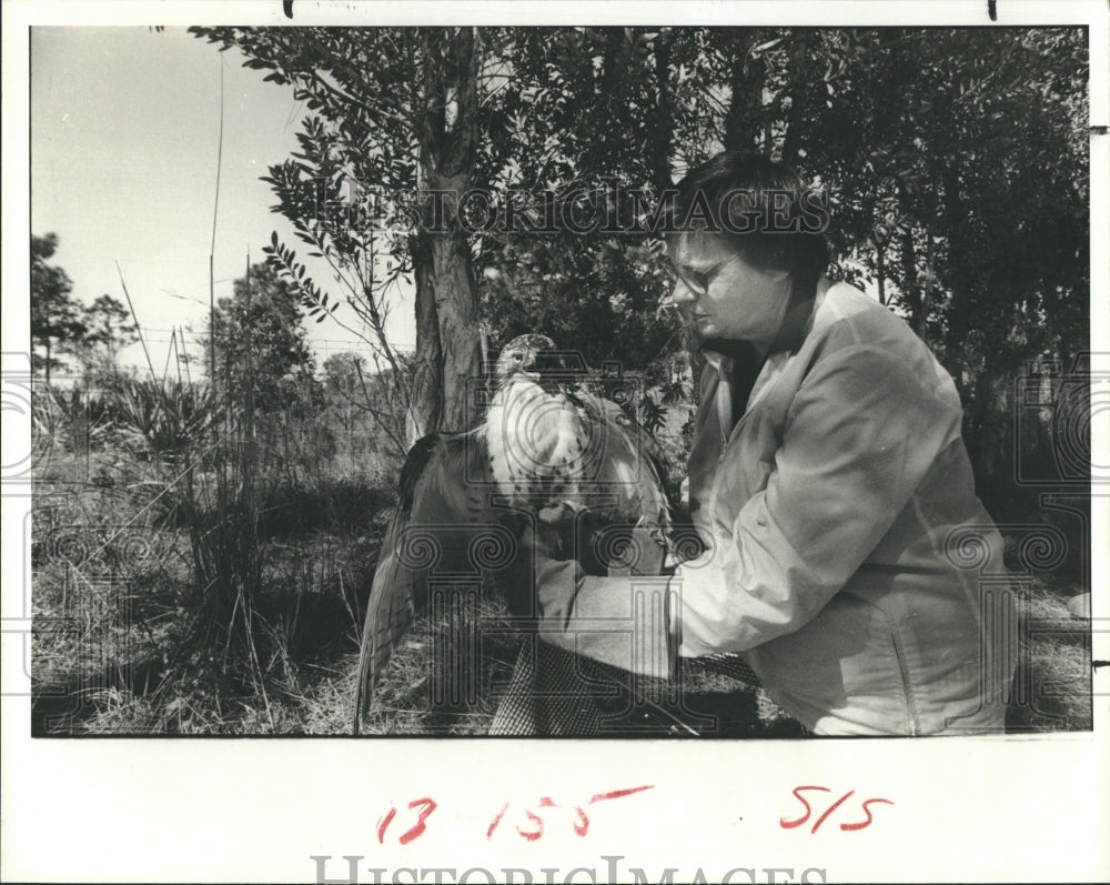 1981 Press Photo Wildlife Center of Sarasota Inc. is home to crippled birds - Historic Images