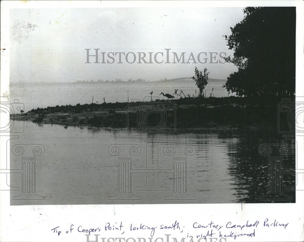 1982 Press Photo Cooper's Point Clearwater Florida - RSH21117 - Historic Images