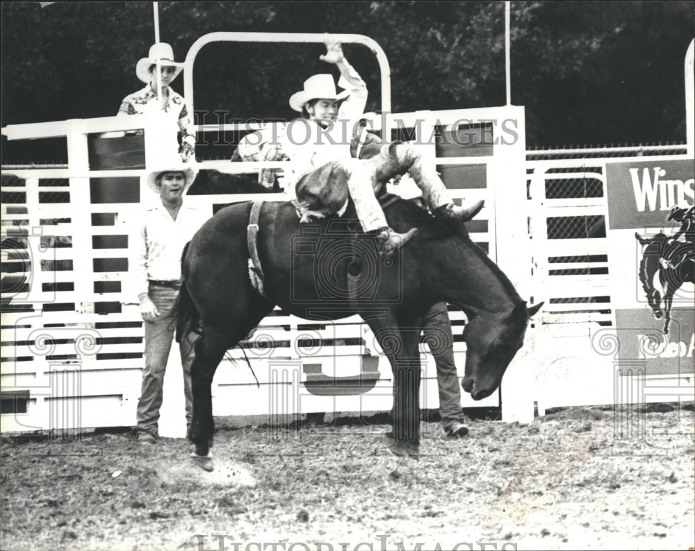 1979 Press Photo Hernando County Cattlemen&#39;s Association Rodeo Bareback Bronco - Historic Images