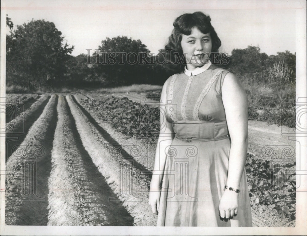 1956 Press Photo Mary Jean Hickman in 4-H Club - Historic Images