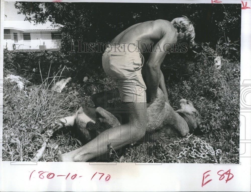 1972 Press Photo Mason Contractor Ron Saulnier Pet Lion Cub - Historic Images
