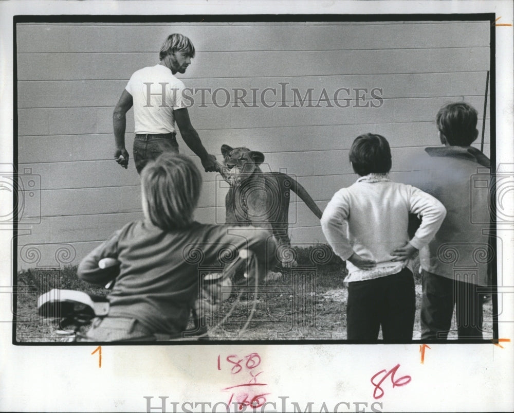 1972 Press Photo Ron Saulnier Pet Lion Cub - Historic Images