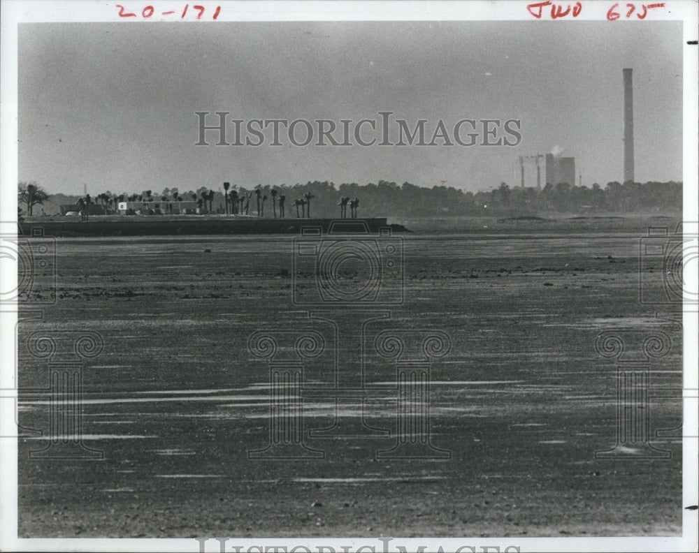 1981 Press Photo Green Key Beach Florida - Historic Images