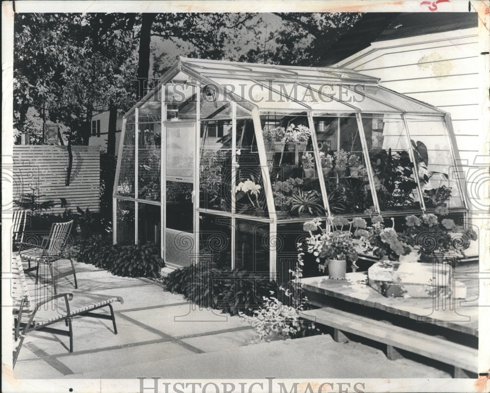 1979 Press Photo Greenhouse St. Petersburg Florida - Historic Images