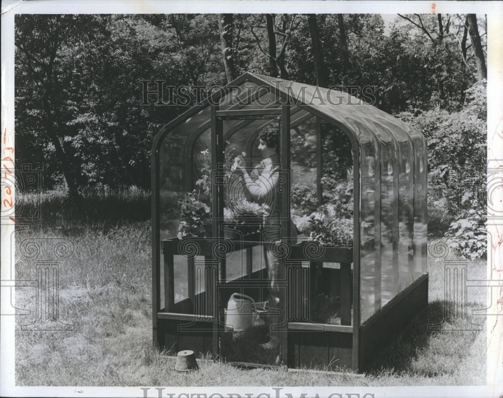 1980 Press Photo Greenhouse St. Petersburg Florida - Historic Images