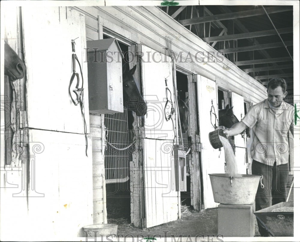 1968 Press Photo Bill Fabry Horse trainer. - Historic Images