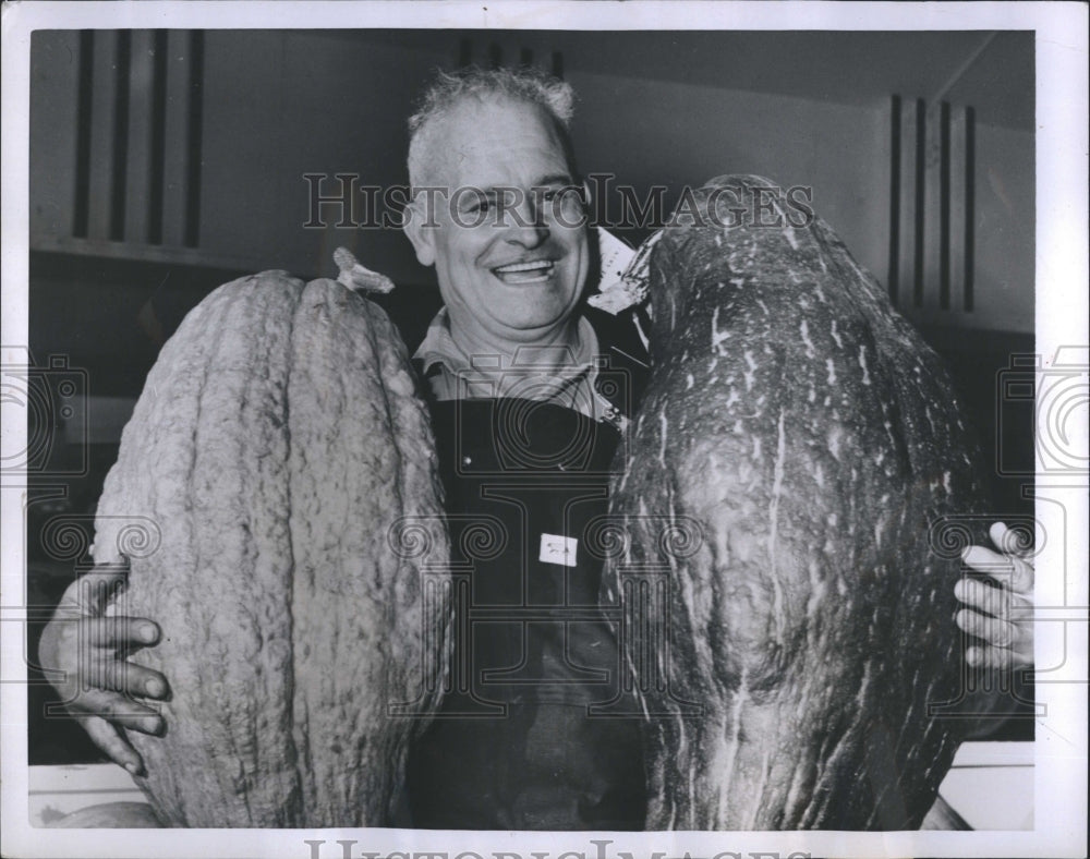 1951 Press Photo Angelo Carpinito  Two Squash Puyallup Washington - Historic Images