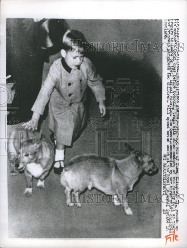 1964 Press Photo Prince Andrew at 4, son of Queen Elizabeth. - RSH28717 - Historic Images