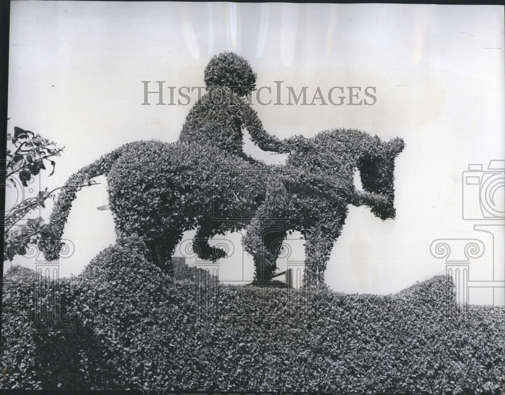 1950 Press Photo Elaborate Monkey Horse Hedge Sculpture - Historic Images