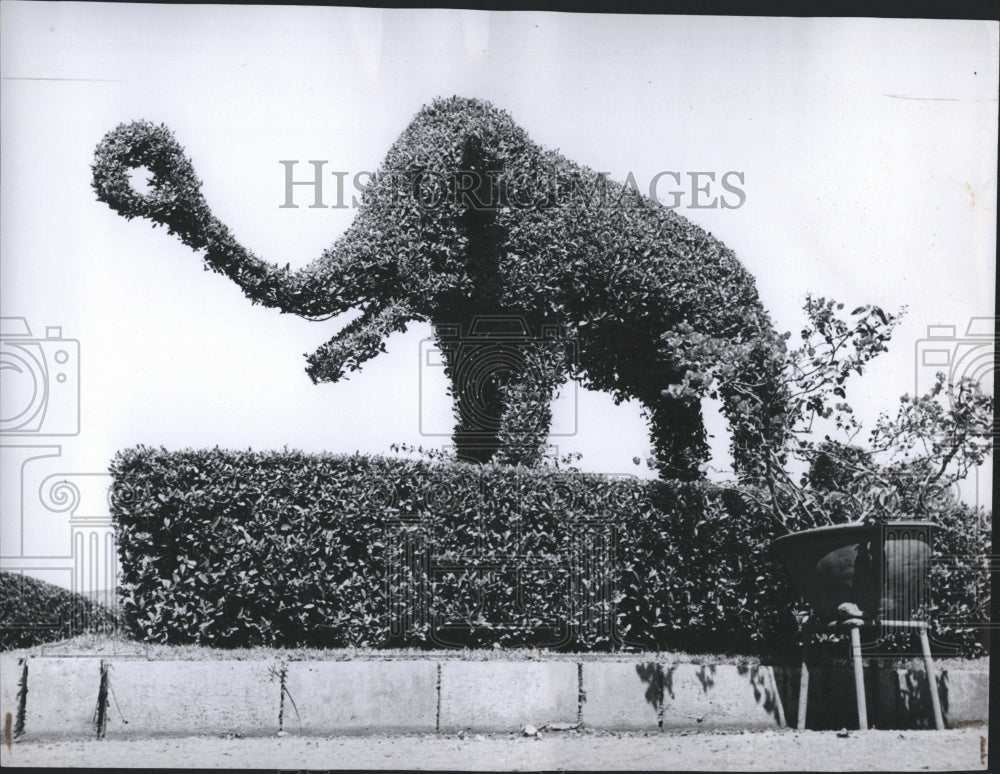 1950 Press Photo Bombay Shrubbery Zoo - Historic Images