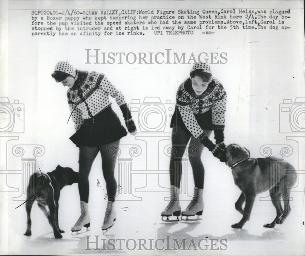 1960 Press Photo Carol Heiss, boxer puppy - RSH29395 - Historic Images