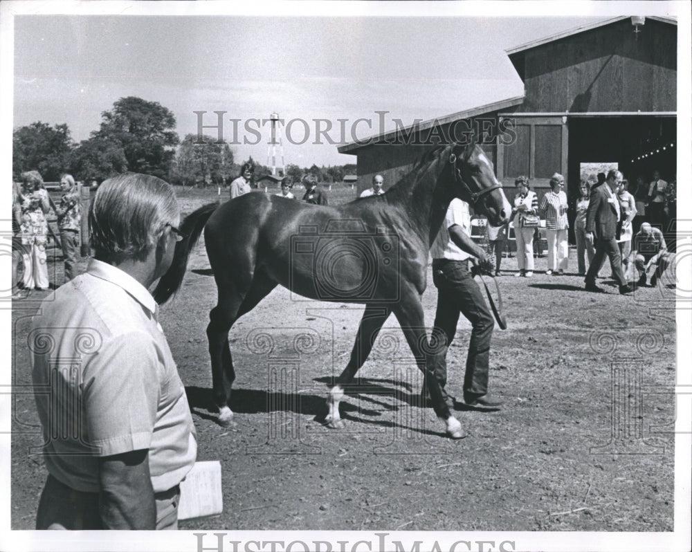 1972 Press Photo Ed Heinemann of the Washington Horse Breeders Association - Historic Images