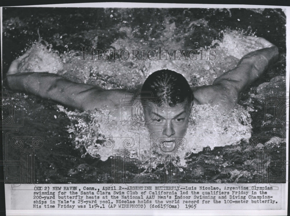 1965 Luis Nicolao at Nat&#39;l AAU Men&#39;s Indoor Swimming &amp; Diving-Historic Images