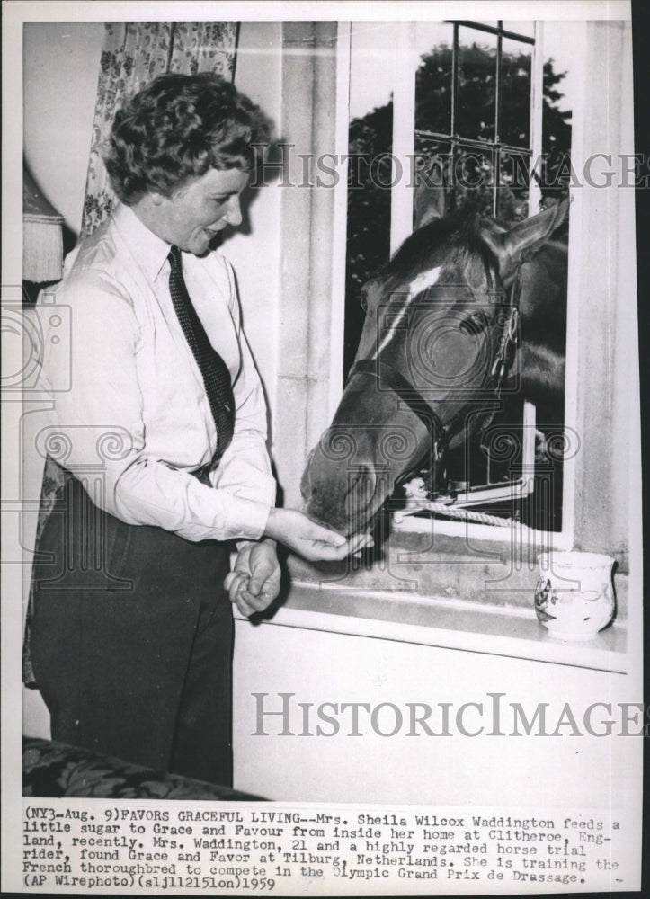 1959 Press Photo Sheila Wilcox Waddington - RSH37067 - Historic Images