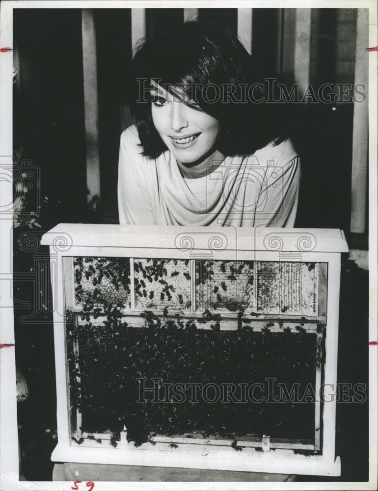 1964 Press Photo The queen bee, Joanne Franks, TV showl - RSH37709 - Historic Images