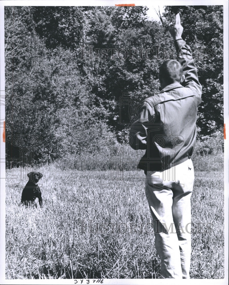 1963 Press Photo Dog sat down awaits the hand signals of his handler direction. - Historic Images