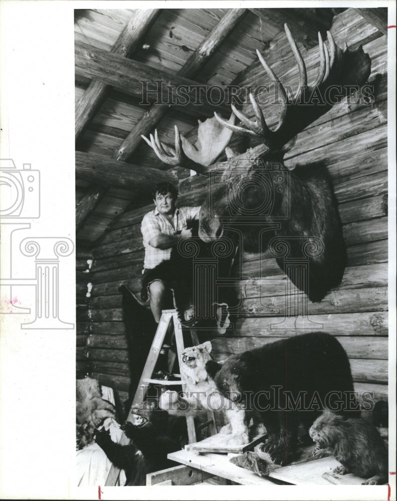 1985 Press Photo Bill Pusey shows the head of moose he shot in Alaska. - Historic Images