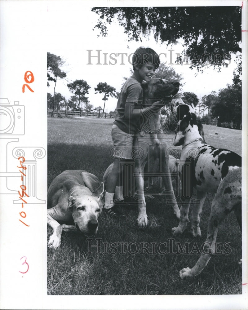 1973 The Fragnoli Child with his Dogs - Historic Images