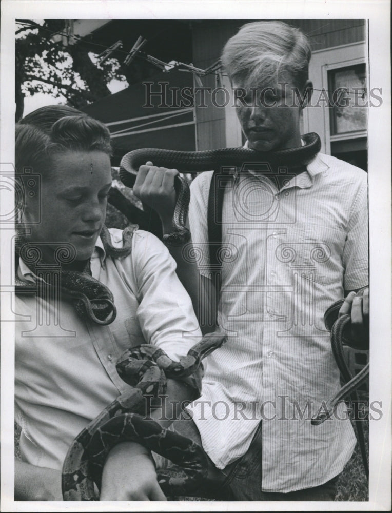 1964 Charles Reed and Pat Fennimore collect snakes  - Historic Images