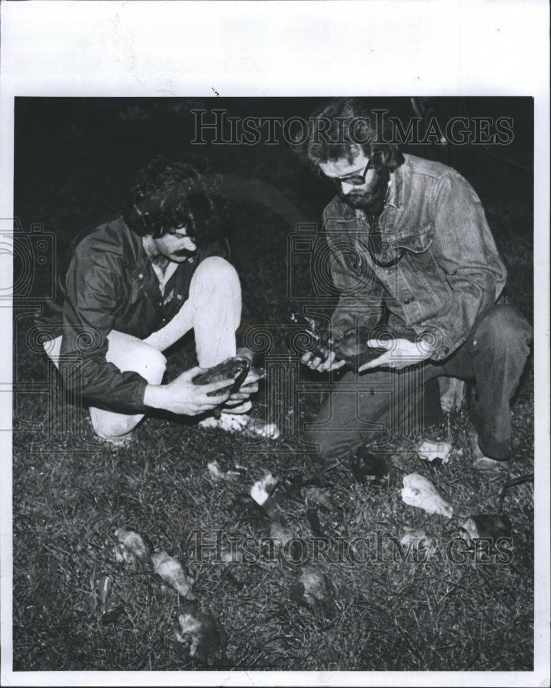 1978 Michigan humane Soc. Vets dig up Dog Skull, evidence - Historic Images